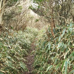 c0077338_16445624.jpg