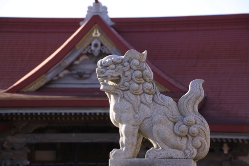 わんわんワンダフル 1月1日元旦_f0113639_1058149.jpg