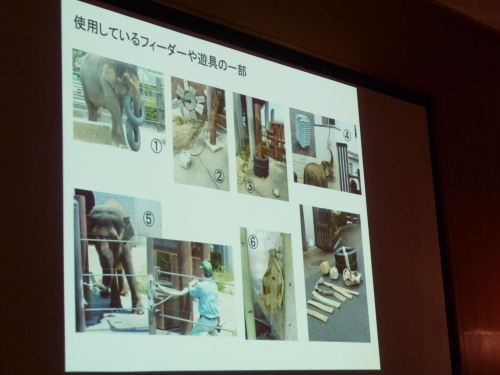 b0362646_22315711.jpeg