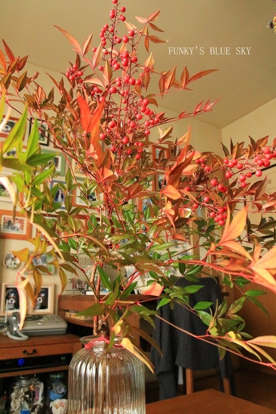 c0145250_15391636.jpg
