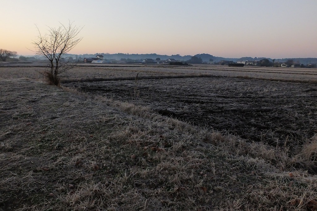 b0236251_10535901.jpg