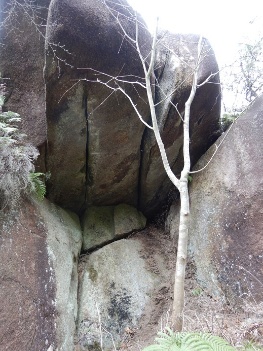 f0362263_02043273.jpg