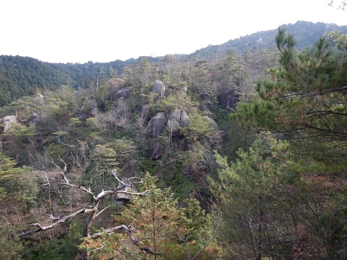 f0362263_02053109.jpg