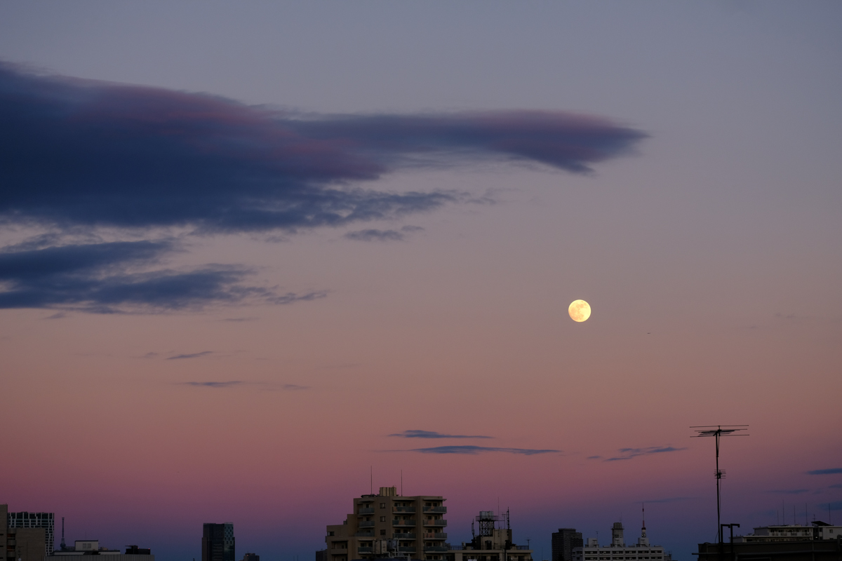 c0084666_17481343.jpg