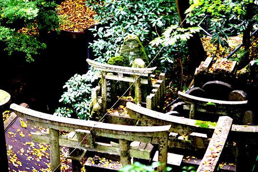 東福寺（とうふくじ）散歩写真_c0191967_18161518.jpg