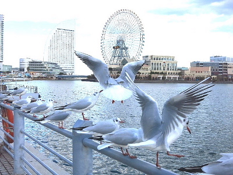 b0141773_20112542.jpg