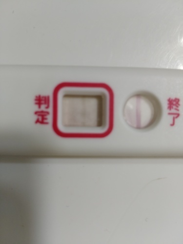高温期10日目 フライング初め 二人目不育症日記