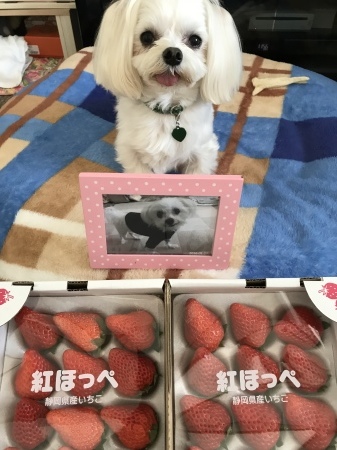 b0193480_12011987.jpeg