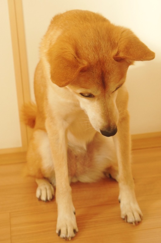 f0231084_15234168.jpeg