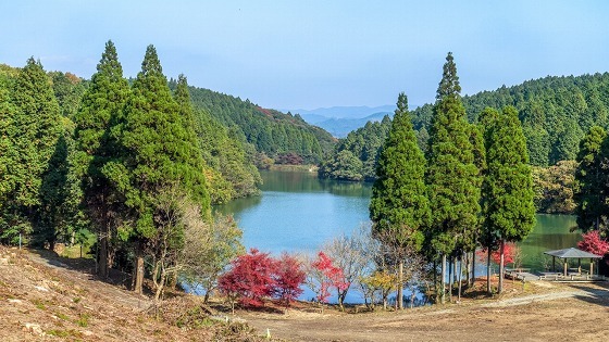 e0176993_07430246.jpg