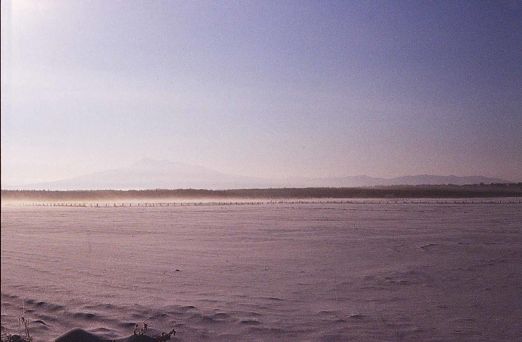 a0322896_09472448.jpg