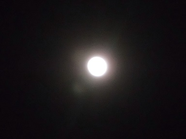 c0187298_2210153.jpg