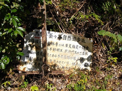 f0308898_13163022.jpg