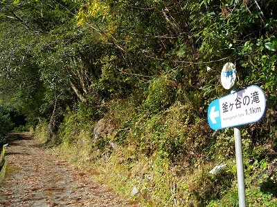 f0308898_13164025.jpg