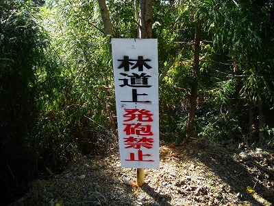 f0308898_13303832.jpg