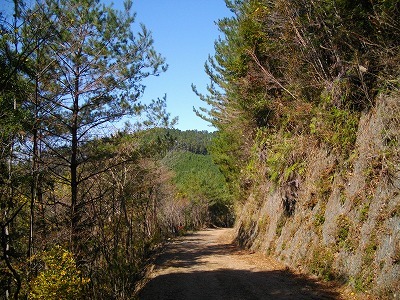 f0308898_13305881.jpg