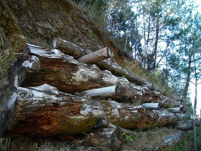 f0308898_13324701.jpg