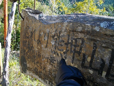 f0308898_13360072.jpg