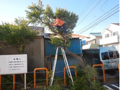イシマル工務店出動!_e0077899_957491.jpg