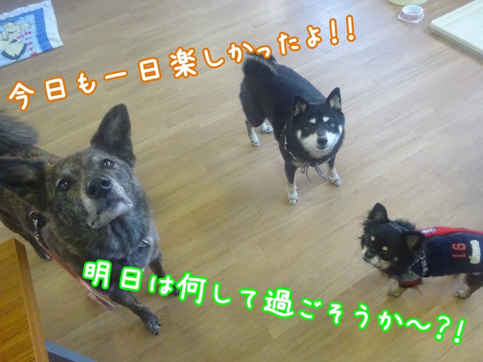 a0338800_14192042.jpg