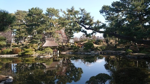 c0202101_23134594.jpeg