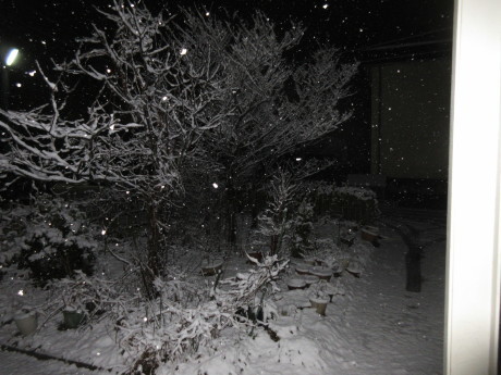 a0203003_20091299.jpg