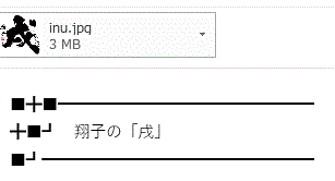 金澤翔子さんのメールマガジン（No.14）…2018/1/2_f0231709_23342104.gif