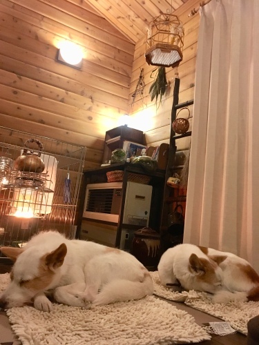 d0179410_21500376.jpeg