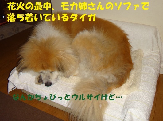 f0121712_00062698.jpg