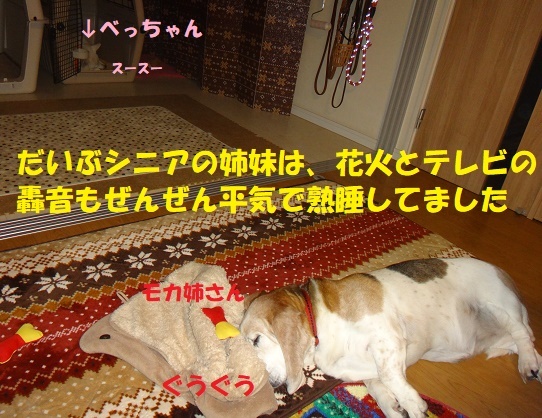 f0121712_00152730.jpg