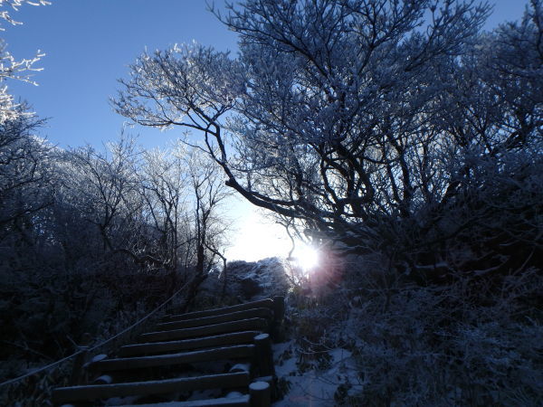 2018年の初登山_d0198313_23350078.jpg