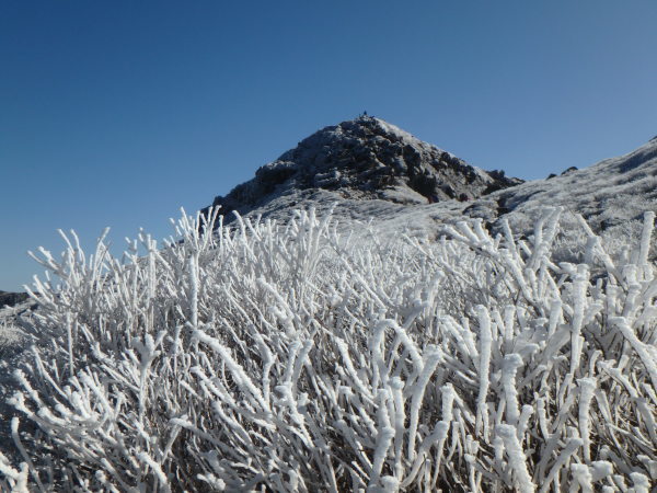 2018年の初登山_d0198313_23432298.jpg