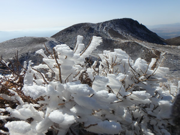 2018年の初登山_d0198313_23512346.jpg