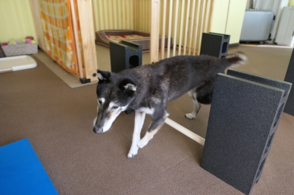 f0369014_12522283.jpg
