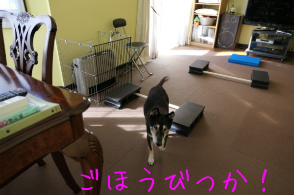f0369014_13084997.jpg