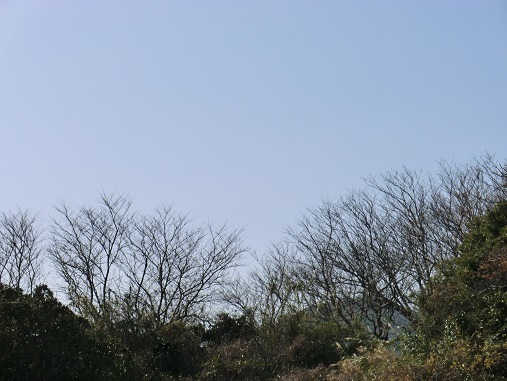f0371014_23161439.jpg