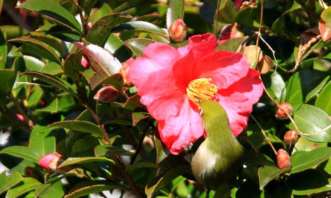 f0364220_16054095.jpg