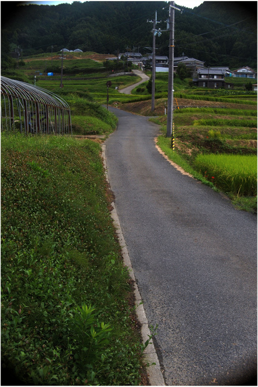 b0226423_23303330.jpg
