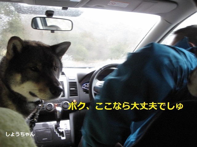 f0143123_12575785.jpg