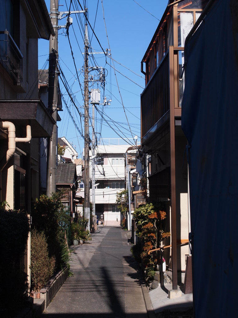 a0214329_17254233.jpg