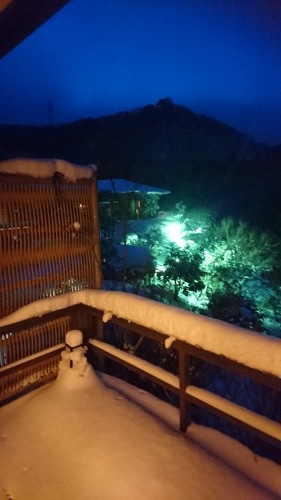 あけおめ❕❕_f0331129_16304893.jpg