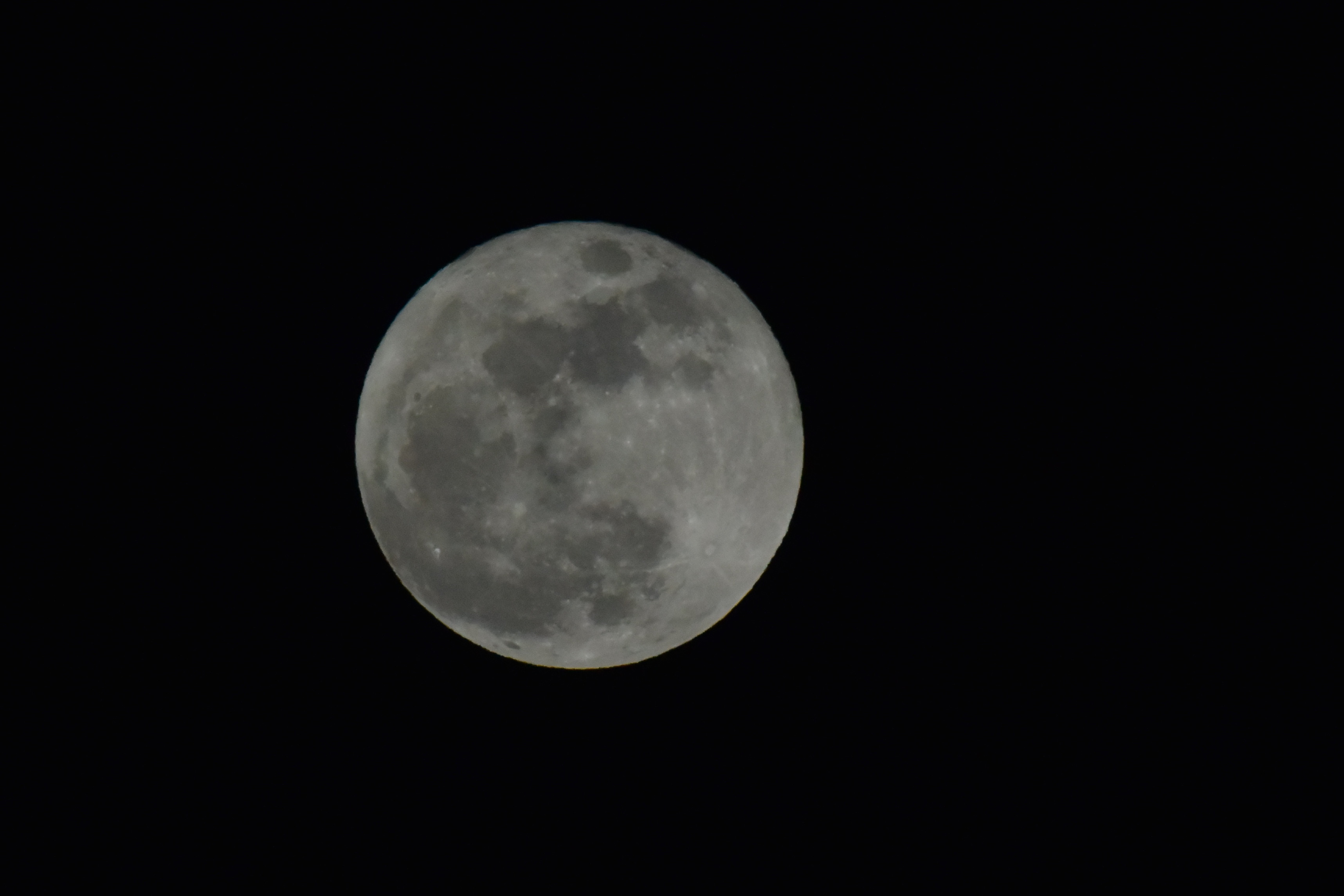 c0353632_20064408.jpg