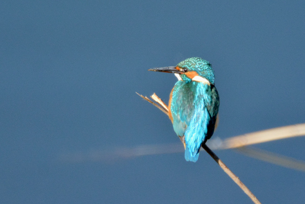 e0097534_1202529.jpg