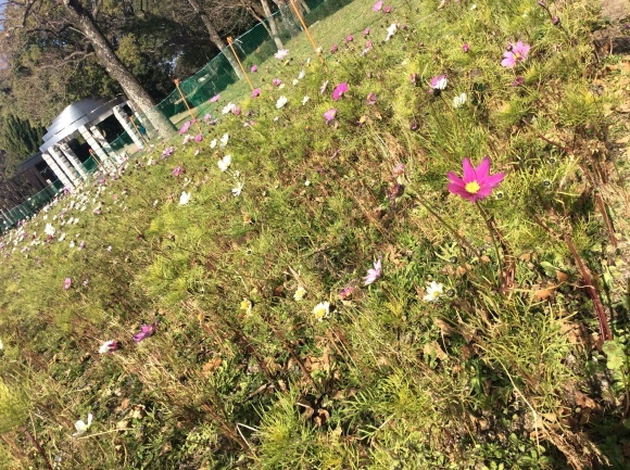 a0188838_23461438.jpeg
