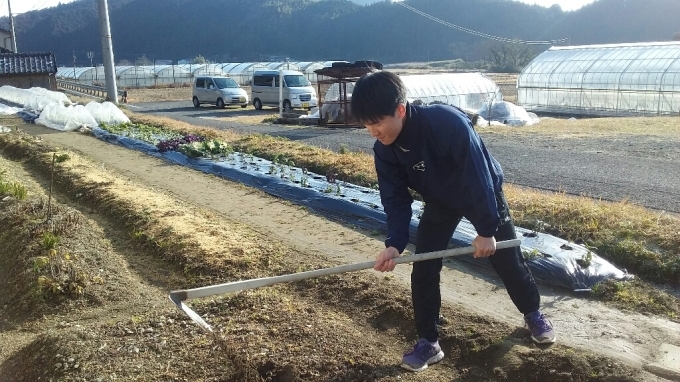 鍬初め