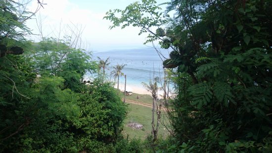 Balangan Beach で ドッグサーフィンを見る @ Balangan (\'17年4月)_d0368045_61348.jpg