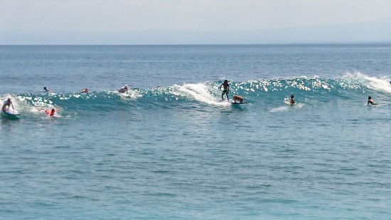 Balangan Beach で ドッグサーフィンを見る @ Balangan (\'17年4月)_d0368045_61372.jpg