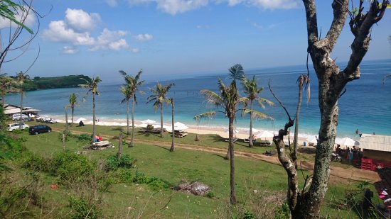 Balangan Beach で ドッグサーフィンを見る @ Balangan (\'17年4月)_d0368045_614583.jpg