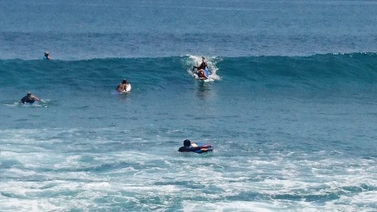 Balangan Beach で ドッグサーフィンを見る @ Balangan (\'17年4月)_d0368045_61620100.jpg