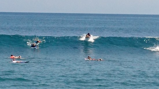 Balangan Beach で ドッグサーフィンを見る @ Balangan (\'17年4月)_d0368045_616234.jpg